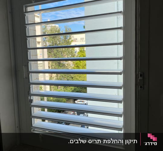 תריסים לבנים פתוחים בחלון עם נוף חיצוני